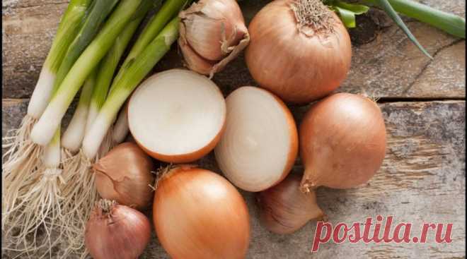 19 применений лука, о которых мало кто знает 


Лук — не самый популярный в быту овощ. В кулинарии — да, а вот в других сферах жизни его не жалуют. Раньше лук ассоциировался с бедностью и, возможно, это тоже сыграло свою роль. И напрасно. Лук мо…