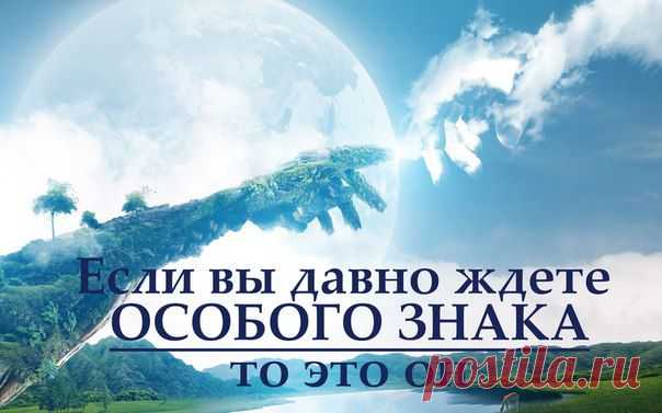 К счастью, настойчивость является отли / Абсолютное здоровье