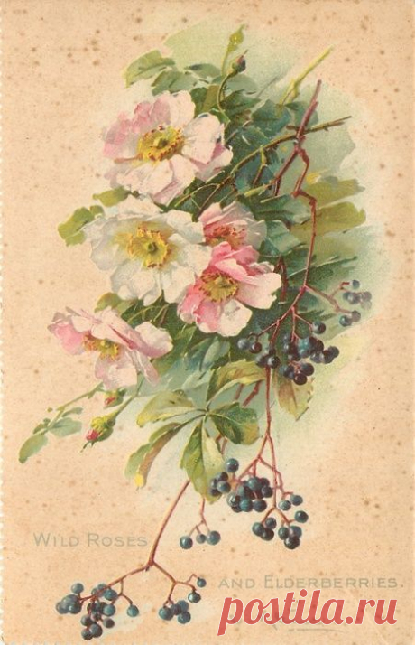 (723) Pinterest: инструмент для поиска и хранения интересных идей