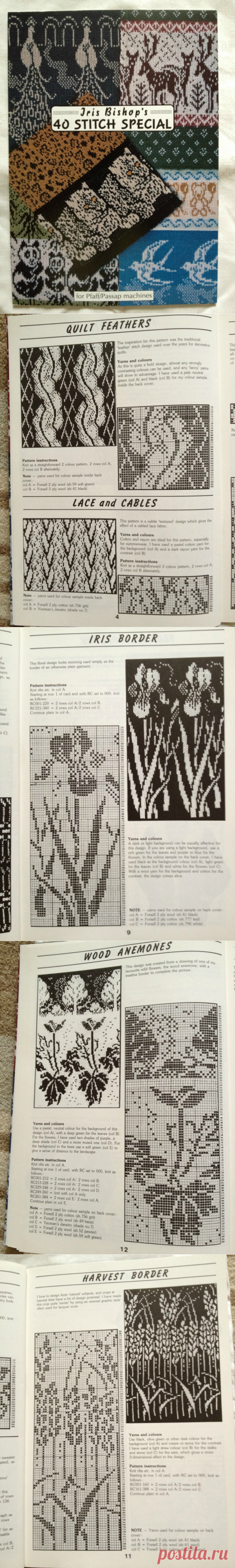 «Ирис Бишоп 1