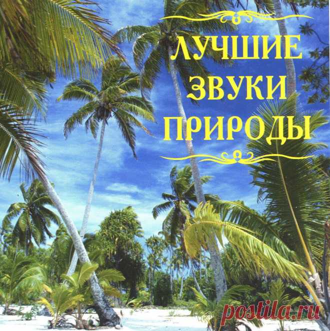 звуки природы - Поиск в Google
