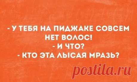 15 ироничных остроумных фразочек в картинках для отличного настроения - Зашибись - медиаплатформа МирТесен