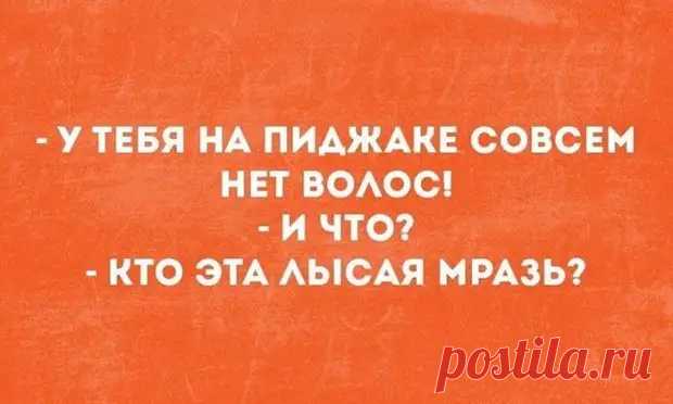 15 ироничных остроумных фразочек в картинках для отличного настроения - Зашибись - медиаплатформа МирТесен