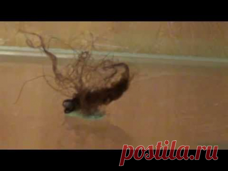 Вязание обманки на хариуса. Улов 100 процентный, конечно если хариус рядом с вашей снастью.