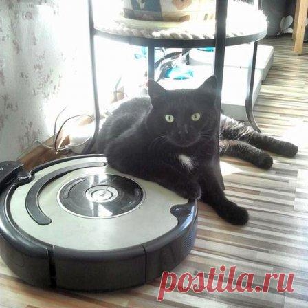 Как выбрать робот-пылесос для дома?
#роботпылесос #длядома #каквыбрать #полезныесоветы