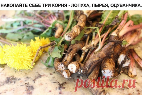 (1) Одноклассники
