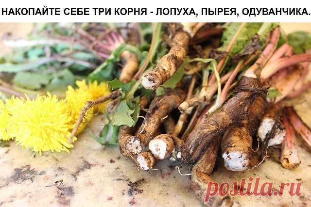 (1) Одноклассники