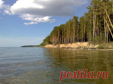 Караканский бор, Новосибирская область, Россия / kudatotam.ru