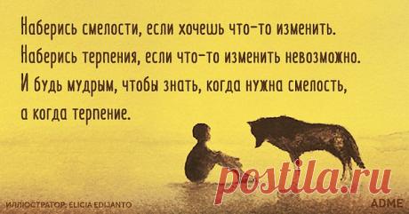 Фото пользователя Лидия, Петергоф,