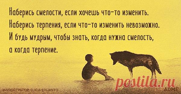 Фото пользователя Лидия, Петергоф,