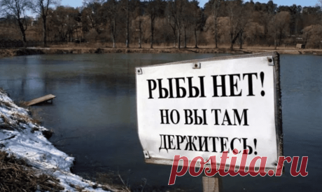 Какие водоемы мы оставим нашим детям, будет ли в них рыба