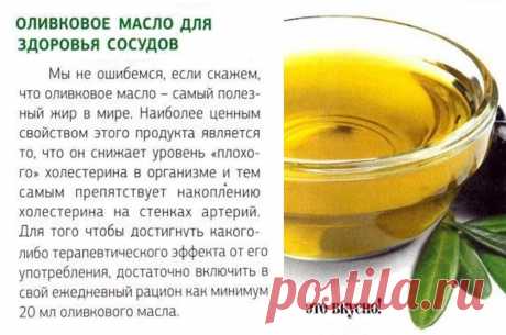 Оливковое масло - полезные свойства