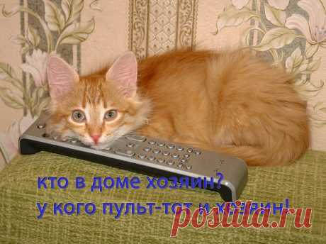 Редактировать описание