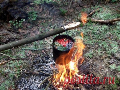 Как очистить воду на даче рябиной, народный способ Очистка воды на даче рябиновыми листьями и ягодами от примесей и запаха. Полезные свойства листьев рябины - очистка воды на даче и в походе