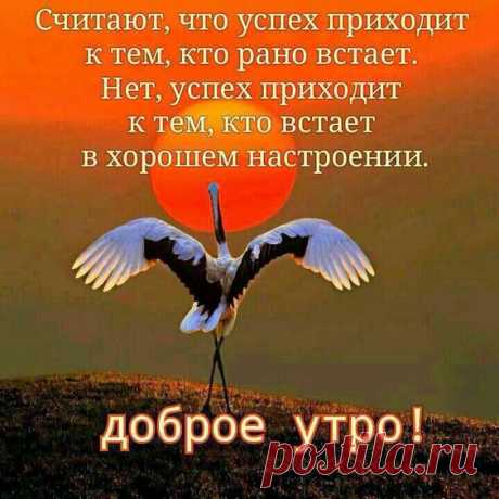 (227) Pinterest