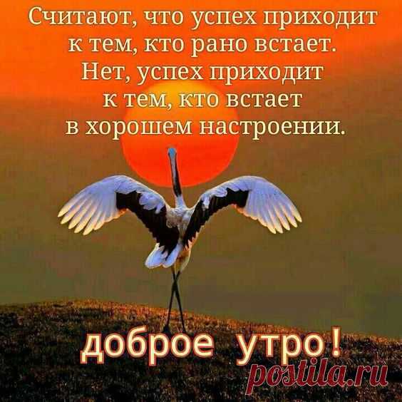 (227) Pinterest