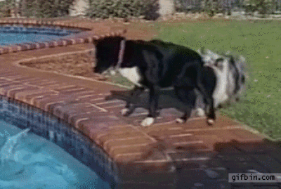Командная работа — GIF.D3.RU