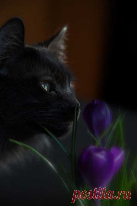 Мой Мир@Mail.Ru