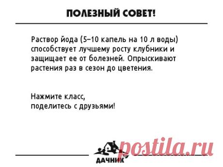 (55) Одноклассники