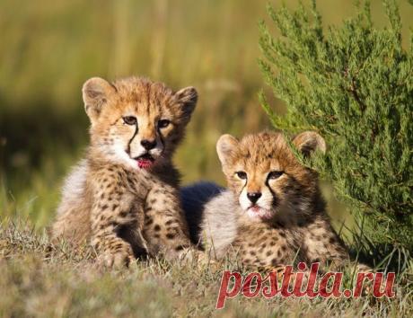 вот такие мы ребята!