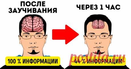 12 секретов памяти, чтобы запоминать иностранные слова с первого раза Готовы перейти к практике?