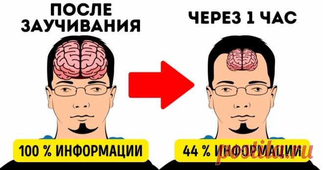 12 секретов памяти, чтобы запоминать иностранные слова с первого раза Готовы перейти к практике?