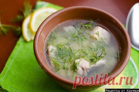 Суп уха из горбуши рецепт приготовления