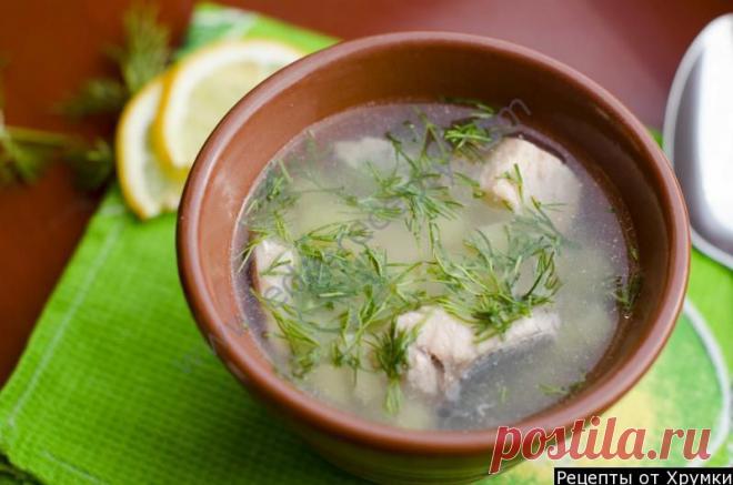 Суп уха из горбуши рецепт приготовления