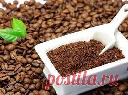 Избавляемся от грибка без дорогих лекарств (рецепты народной медецины)