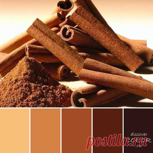 Discover Color - вдохновение цветом