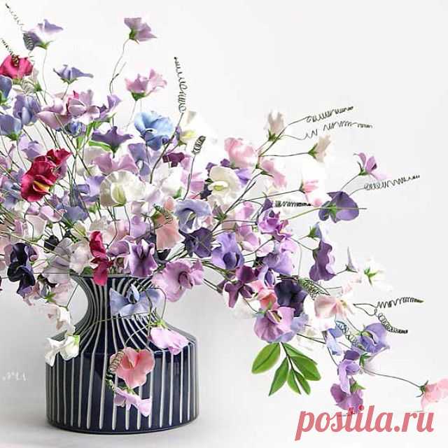 Екатерина Звержанская (@fito_art) • Фото и видео в Instagram