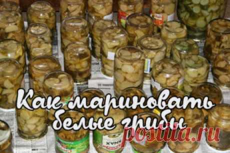 Как мариновать белые грибы