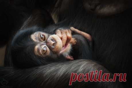 Smile by Manuela Kulpa / 500px