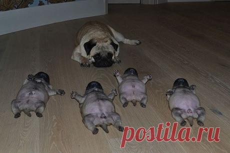ღ Хραнนлนще сmαтγсов ღ