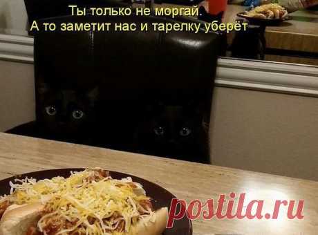Одноклассники