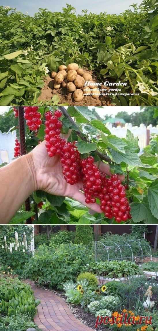 Одноклассники