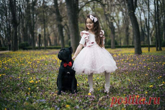 105 Disney Pet Names For Female Dogs