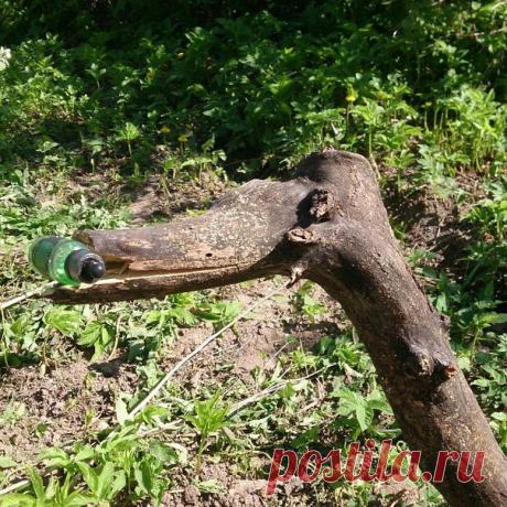 Сергей Мосин