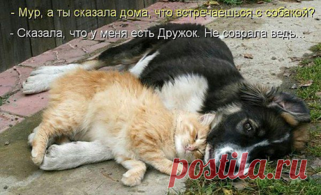 Интересные новости