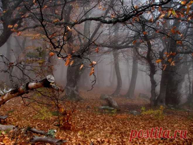 осень
