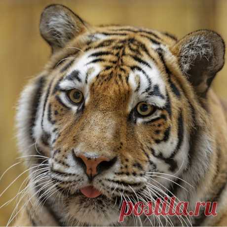 ❀LIVE ART❀ - на Мой Мир@Mail.ru