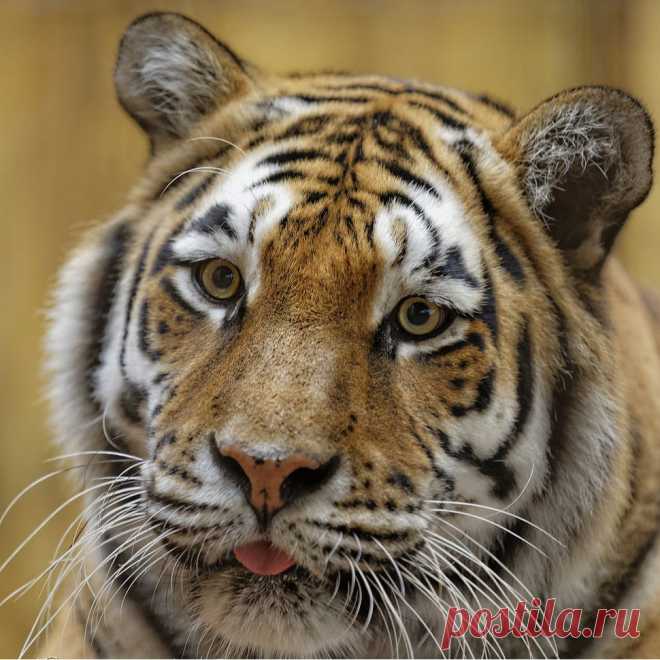 ❀LIVE ART❀ - на Мой Мир@Mail.ru