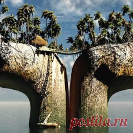 13 самых захватывающих снимков живой природы