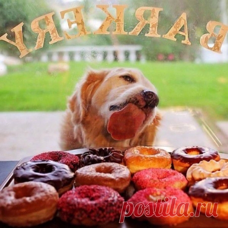&lt;Без темы&gt; - firsova57@mail.ru - Почта Mail.Ru