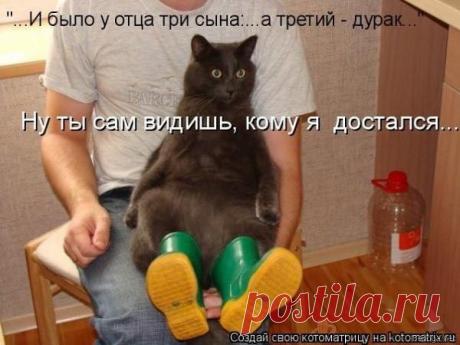 (24) Одноклассники