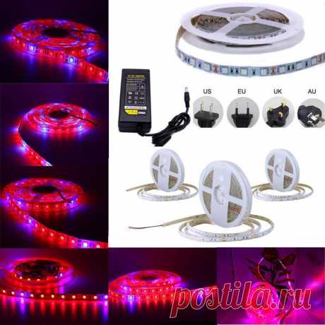 Светодиодная фитолента для растений 14,4W 1M 60LED SMD5050 IP65 (с блоком питания), цена 491,20 грн., купить в Киеве — Prom.ua (ID#601497212) Светодиодная фитолента для растений 14,4W 1M 60LED SMD5050 IP65 (с блоком питания), цена 491,20 грн., купить в Киеве — Prom.ua (ID#601497212). Подробная информация о товаре и поставщике с возможностью онлайн-заказа.