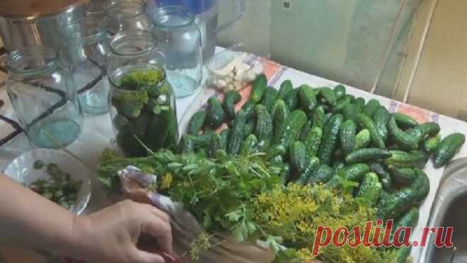 Огурчики по-болгарски в микроволновке за 5 минут. | Дачные советы | Яндекс Дзен