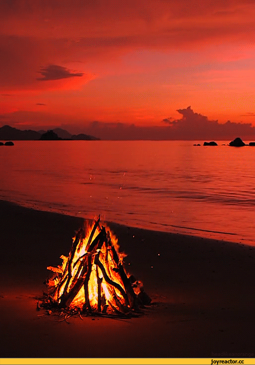 лето :: костер :: gif :: берег / смешные картинки и другие приколы: комиксы, гиф анимация, видео, лучший интеллектуальный юмор.