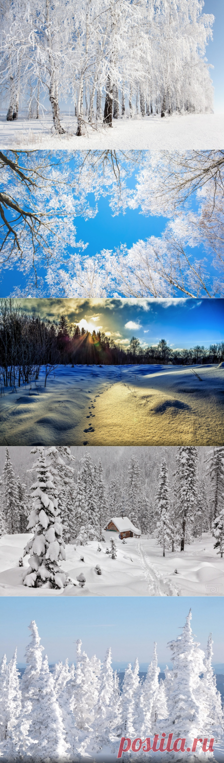 16 фотографий, показывающих насколько прекрасна зима в России