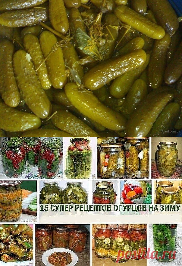 16  РЕЦЕПТОВ ОГУРЦОВ .